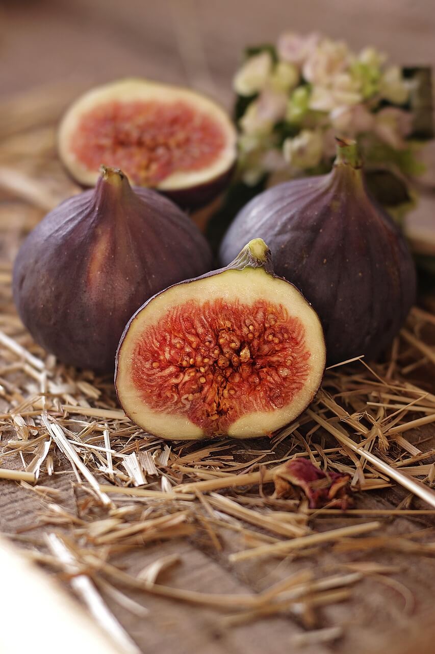 Figues sur l'arbre